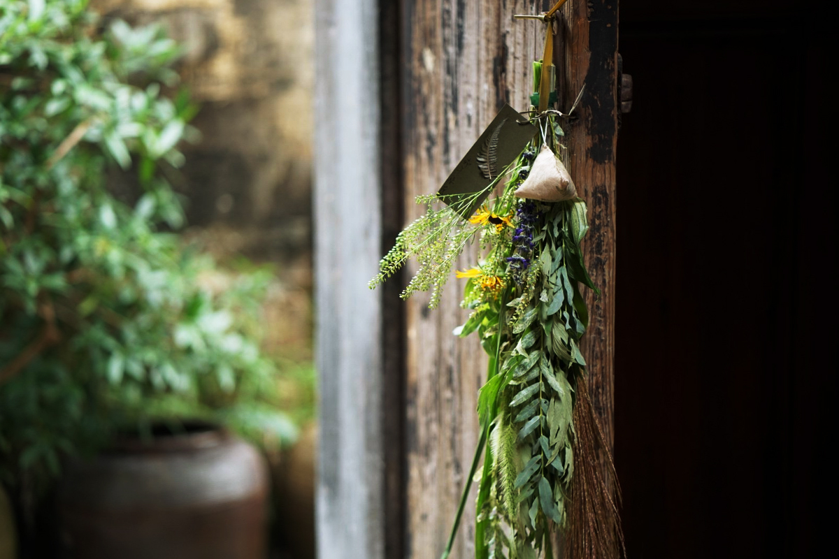 端午節(jié)采摘艾草、掛艾草習(xí)俗