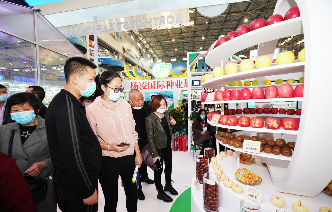 農(nóng)高會(huì)展區(qū)